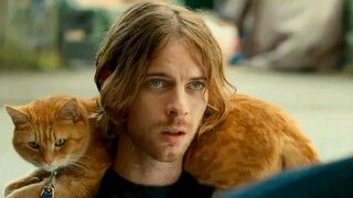 "I'm a homeless man, but my cat isn't"