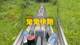 兔兔玩到神庙逃亡啦‼️🫡