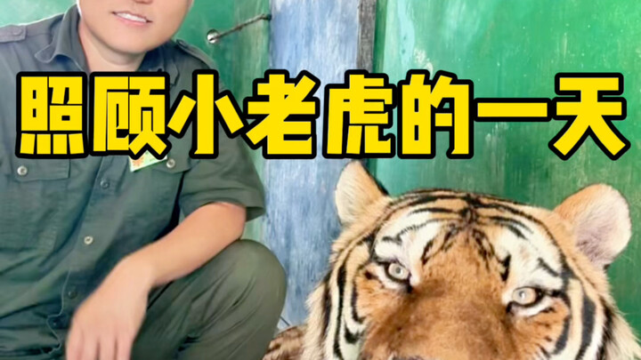 ฉันคือมือไวอินเทอร์เน็ตของพวกคุณ!