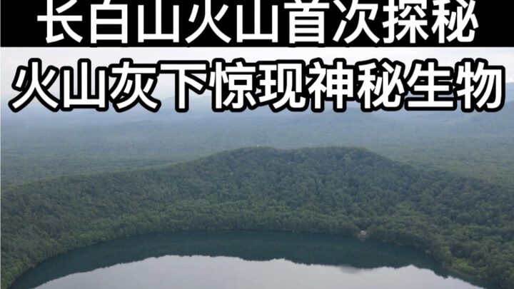 Pertama Kalinya Menyusuri Gunung Berapi Changbai: Makhluk Misterius Muncul di Bawah Abu Vulkanik