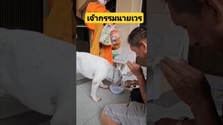 *ดูคลิปเต็มลิงค์ข้างบน* เจ้ากรรมนายเวรมาไวมาก #funny #awesome #reels #รวมคลิปตลก