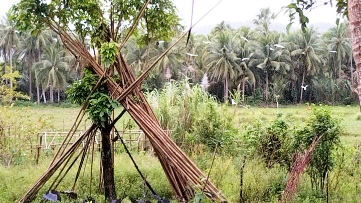 KALINANG RECONNECTION Farm Staycation area