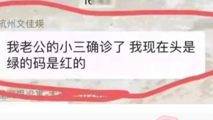 Netizen: My husband's mistress has been confirmed, my head is green and my code is red