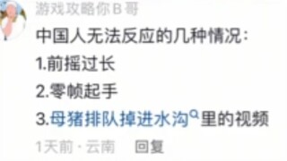 《母猪排队掉进水沟的视频》