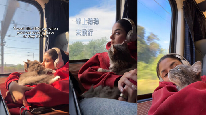 Taking My Cat on a Trip 🧳