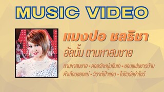 แมงปอ ชลธิชา อัลบั้ม ตามหาสมชาย