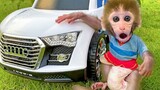 Baby monkey Bon Bon drives a car and playing with the puppy and duckling
