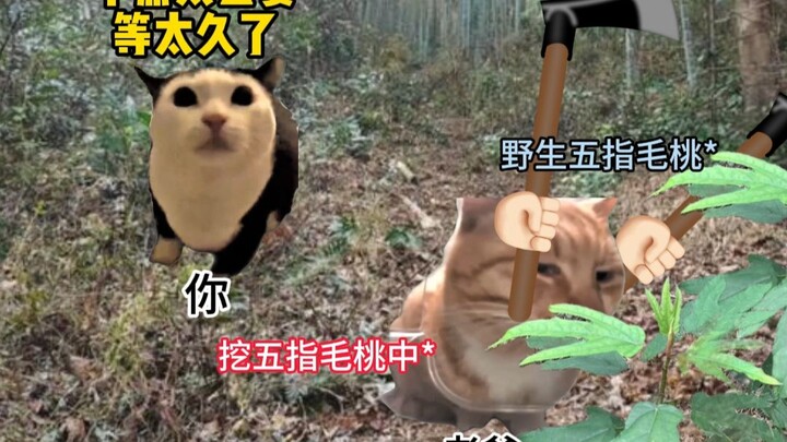 ผลพลอยได้意外หลายอย่างในพิธีไหว้บรรพบุรุษช่วงเช็งเม้ง