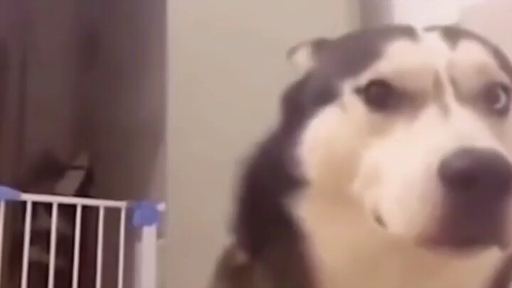 Do you know just how much damage a big-ass butt can deal?