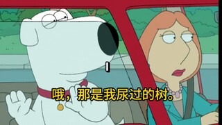 布莱恩只是刀哥