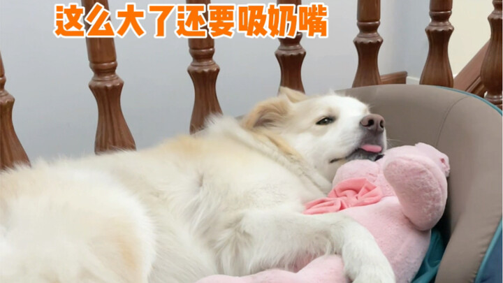 Kemarin kena omel, aku ngerasa bersalah banget jadi nggak mau jelaskan—padahal di dunia ini nggak ad