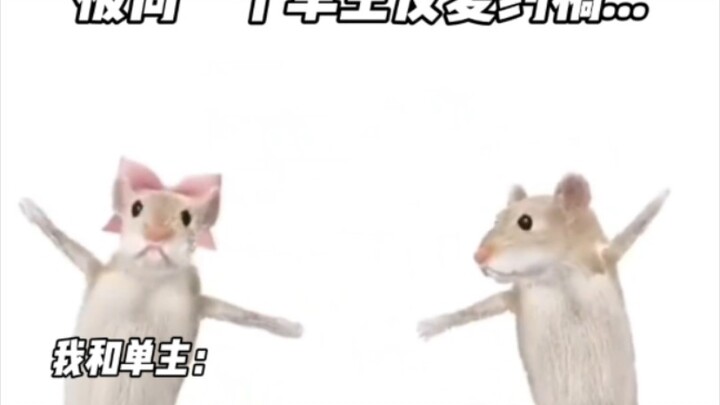 双向奔赴了~