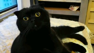 千岁岁吃药药是这样婶的…