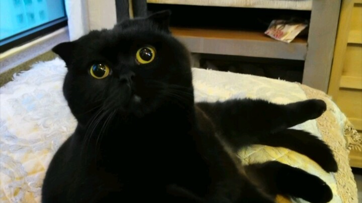 การกินยาของเซียนซุ่ยซุ่ยเป็นแบบนี้แหละ...