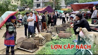 Khám phá CHỢ MƯỜNG HUM LÀO CAI phiên chợ miền núi Tây Bắc mộc mạc và bình yên | Tôi Người Vùng Cao