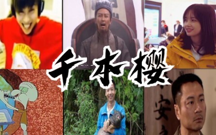 【كل النجوم】ألف شجرة ساكورا