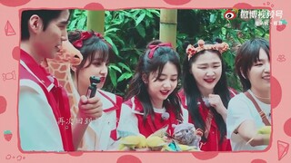 [FMV132] 谭松韵 - Đàm Tùng Vận - Tan Song Yun -  Collection