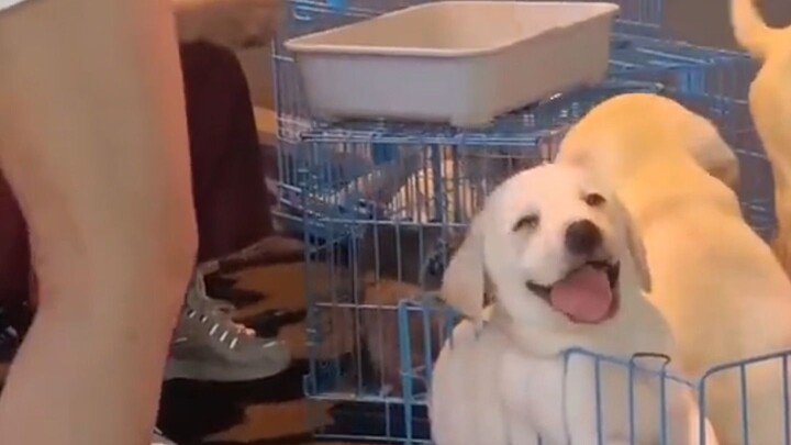 大傻春你在干什么，长这么可爱你不要命啦