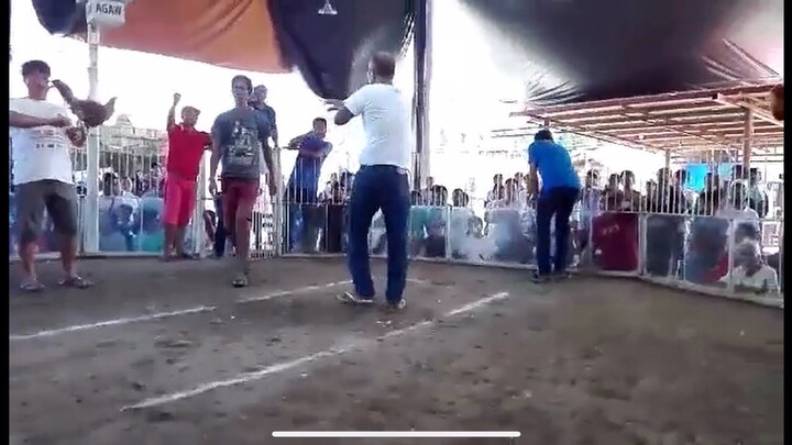 my hennie way back 2014