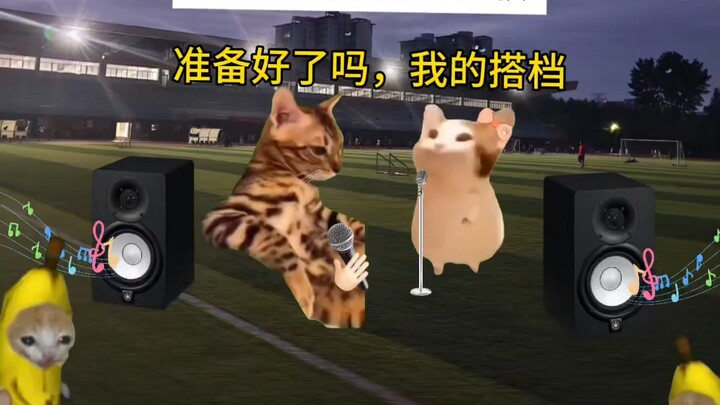 It’s ripe! #meme cat #meme cat skit #Ultraman Galaxy