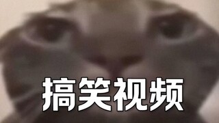 功德笑没了🌚