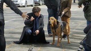 [Detektif Sherlock] Menembak dengan anjing dan berita gembira