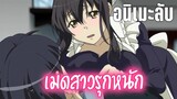 (แนะนำอนิเมะลับ) พี่สาวก็ดี สาวเมดก็โดน - เคออสฮ์