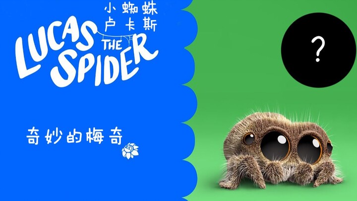 Little Spider Lucas: New Friend Meiqi Makes Her Debut—Cute and Packed with Performance Skills?