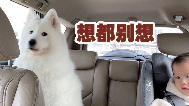 Cậu thực sự muốn để cún con dỗ con mình hả???