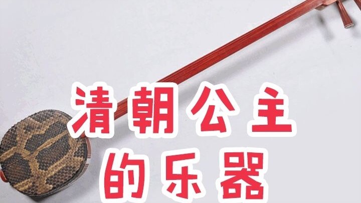 The Musical Instruments of Qing Dynasty Princesses
