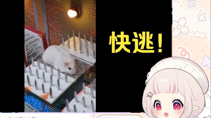日本萝莉看《仓鼠逃离最危险的监狱迷宫》瑟瑟发抖