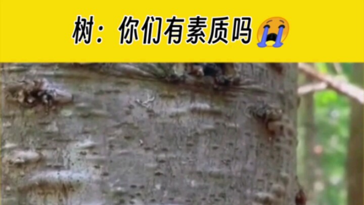 Has everyone played this before?