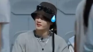 小猫发威之檀宝是不是不知道自己很可爱