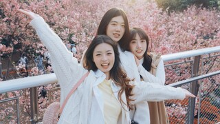 Your beauty has been paid for!