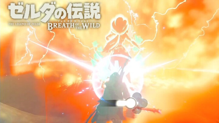 【Truyền thuyết Zelda】Đừng chớp mắt, 30 giây cho bạn chiêm ngưỡng pha xử lý đỉnh cao mà chỉ 0,01% ngư