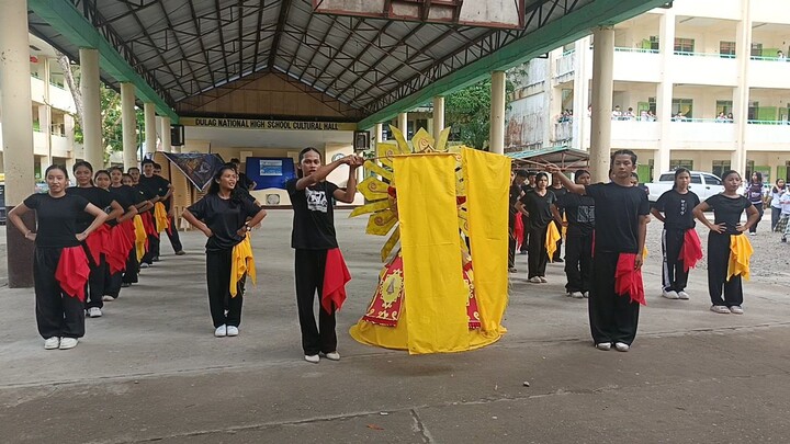 Festival Performance