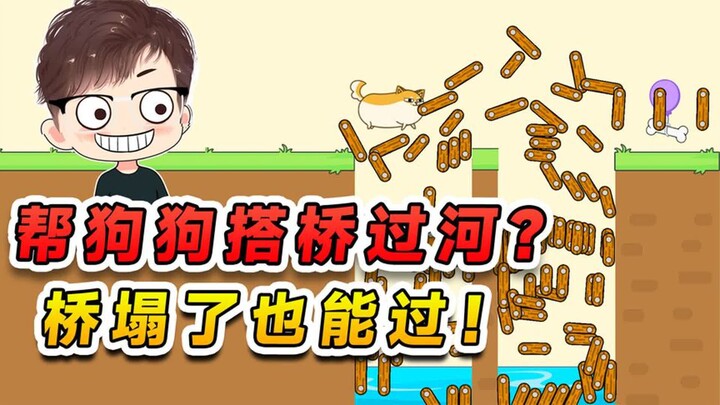 ช่วยสุนัขสร้างสะพานข้ามแม่น้ำ? แม้สะพานจะพังลงมา แต่ก็ไม่ได้ขัดขวางให้เจ้าตูบข้ามไปได้!