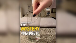 无法解释的碎片，背后的真相却让人措手不及！