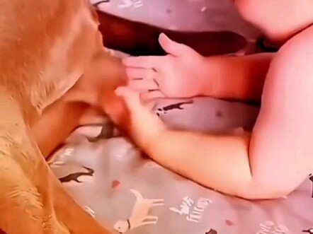 What the heck is this? Let me pinch it and see! Hahaha!