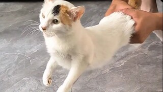 《斗宗基米 恐怖如斯》