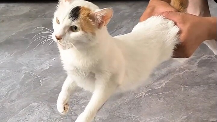 《斗宗基米 恐怖如斯》