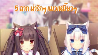 ฉากน่ารักๆน้องแมว I Nekopara