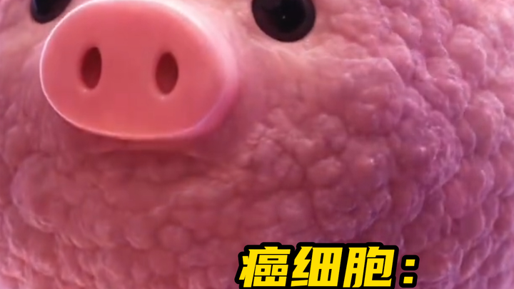 Immune Cells: I’m seriously baffled—how did a pig even get in here?