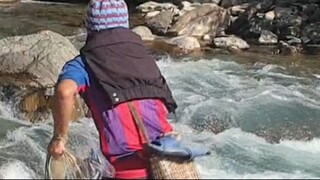 cast net fishing in Nepal | asala fishing | himalayan trout fishing |