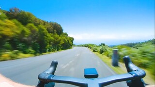 ”这个世界是如此的残酷，却又如此的美丽“