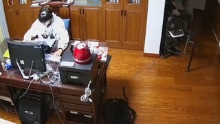 儿子做作业“逼疯”老爸！