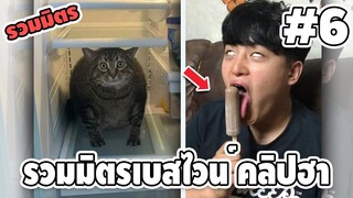 รวมมิตรเบสไวน์ คลิปฮาๆ #6 - [ พากย์นรก ] | easy boy X2