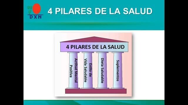 Los 4 pilares de la salud