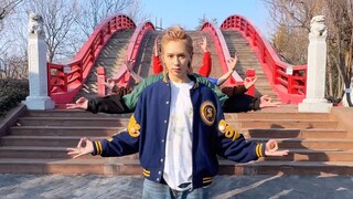 DXMON حب تشينغداو