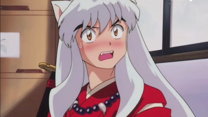 The Innocent Puppy’s Face Turns Red